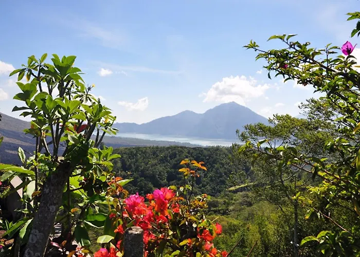 Alam Mimpi Bali 3* テジャクラ